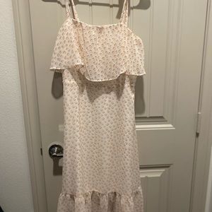 Express knee length dress.